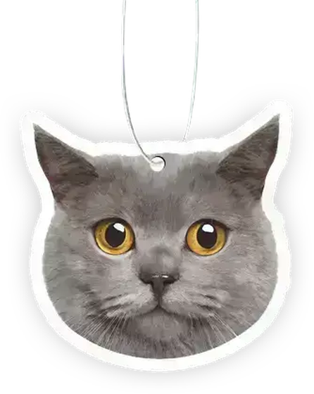 A cat’s face cut into an air freshener